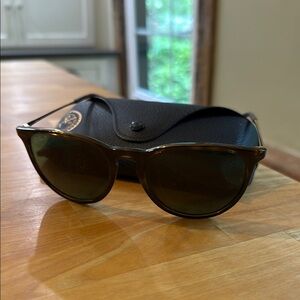 Ray-Ban Classic Brown Sunglasses with Black Case